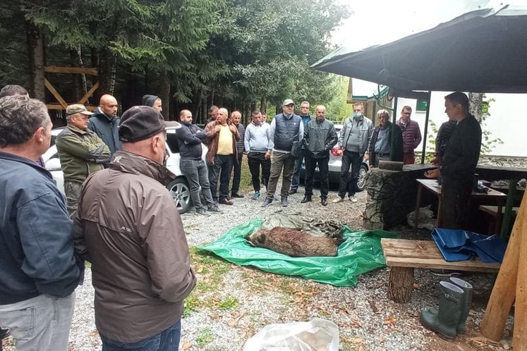 Predstavnici UBHVFP učestovali na obukama organizovanim od strane FAO i Lovačkog saveza Crne Gore na temu afrička kuge svinja