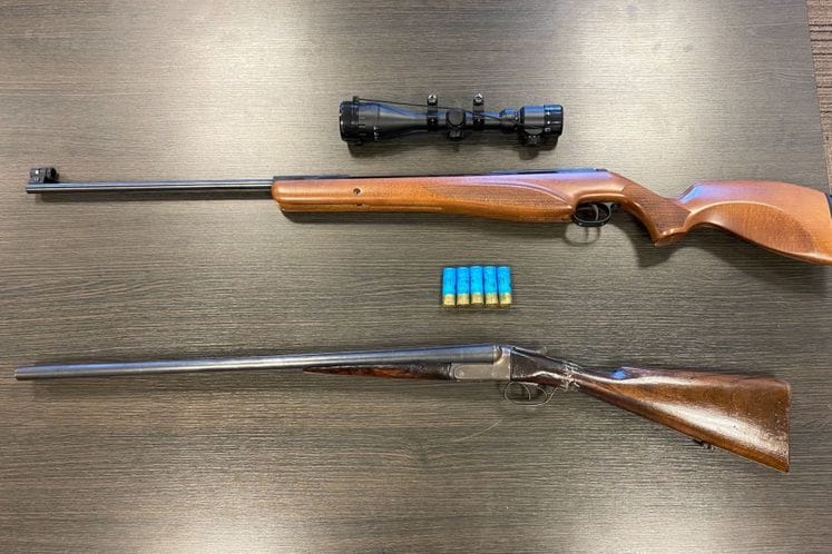 оружје, подгорица