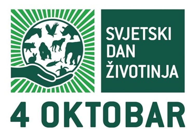 Saopštenje povodom dana zaštite životinja: Postignuti značajni iskoraci u oblasti zaštite dobrobiti životinja