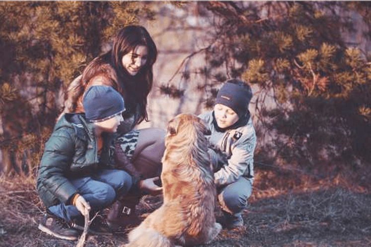 Obavještenje: Donešen Pravilnik o bližim uslovima koje treba da ispunjavaju objekti za prodaju kućnih ljubimaca