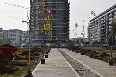 Одржана еколошка акција озелењавања дворишног простора Ректората Универзитета Црне Горе