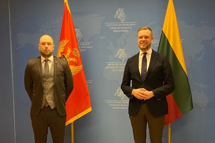 Radulović - Landsbergis