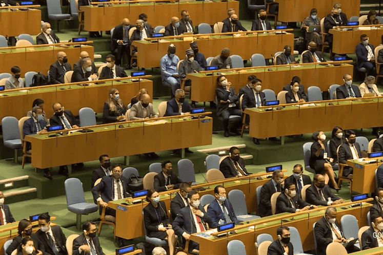 Radulović at UNGA