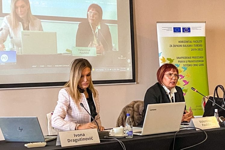 Aktivnosti Kancelarije zastupnika Crne Gore pred Evropskim sudom za ljudska prava u Strazburu