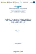 Link_MNE WM_Pocetna procjena