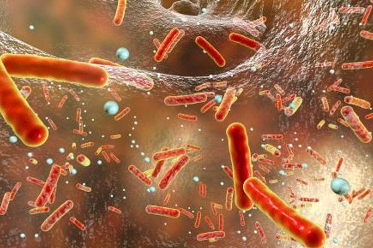 Nivo rezistencije na antibiotike i dalje je visok kod bakterija koje uzrokuju infekcije prenosive hranom