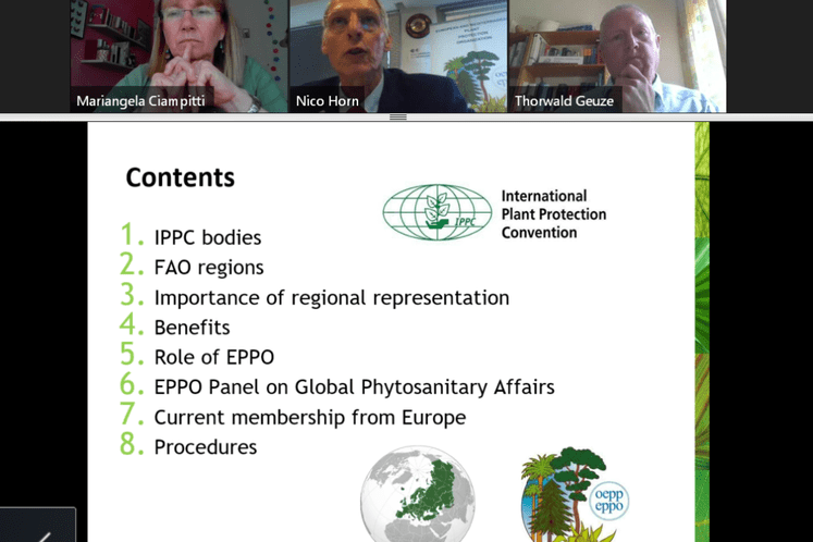 Sastanak šefova fitosanitarnih službi EPPO: Regionalna zastupljenost u organima Međunarodne konvencije za zaštitu bilja (IPPC)