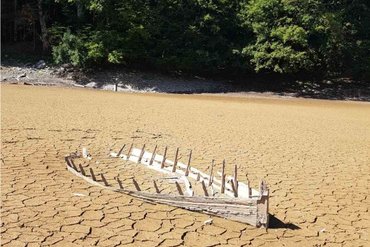 MLADI EKOREPORTERI IZ CRNE GORE NAGRADJENI NA KONKURSU „YOUNG REPORTERS FOR THE ENVIRONMENT (YRE) 2021“