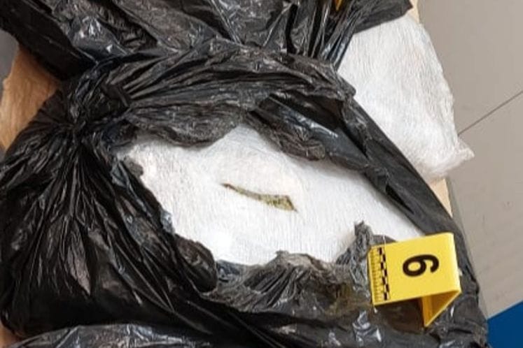 marihuana, debeli brijeg