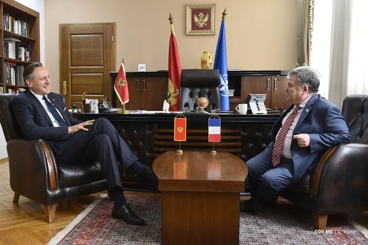 Krivokapić - Timonije