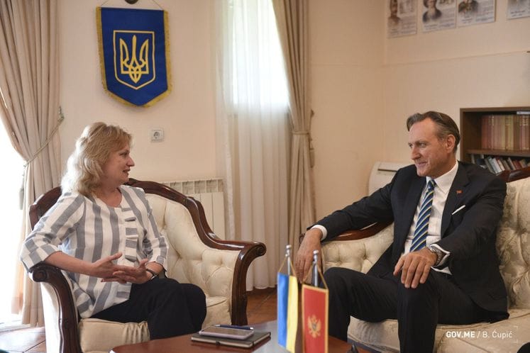 Krivokapić - Fijalka