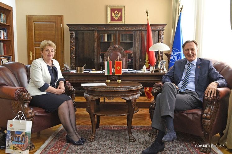 Ministar Krivokapić - ambasadorka Plugčijeva - Aleksandrova