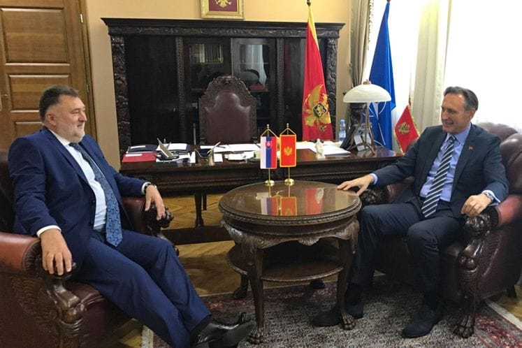 Krivokapić - Gandel