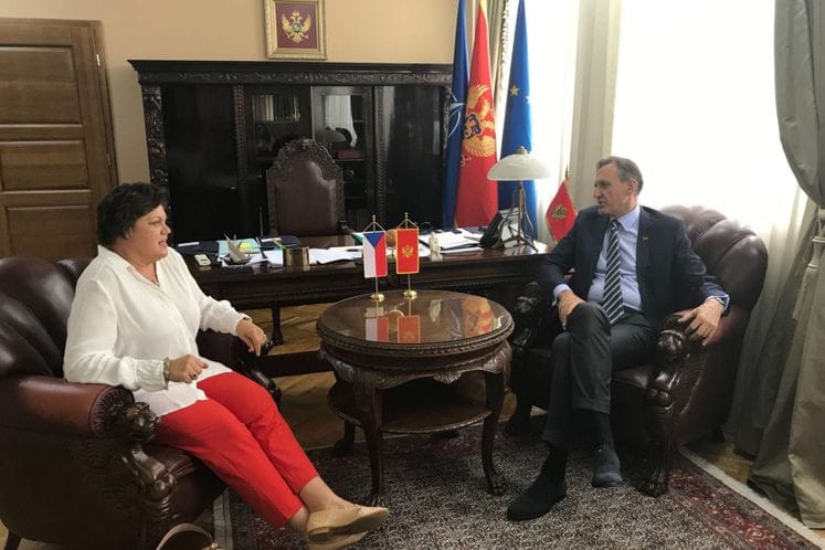 Krivokapić - Hrebičkova