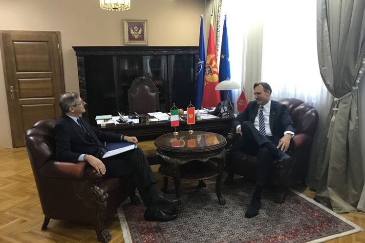 Krivokapić - Zelioli