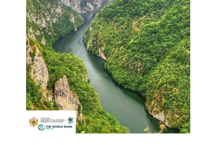 SDIP - Integrisani razvojni program koridora rijeka Save i Drine