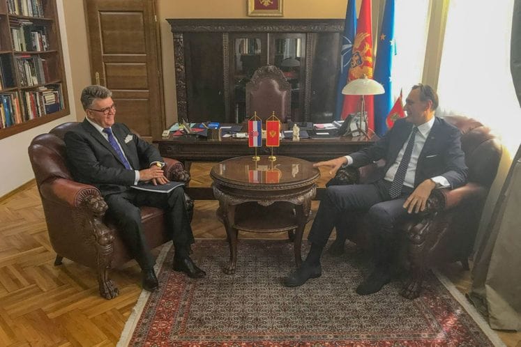 Krivokapić - Grubišić