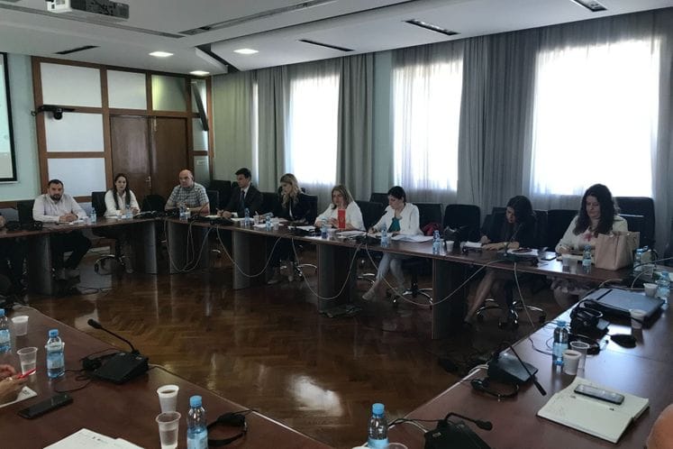 Delegacije MVP CG i RSM