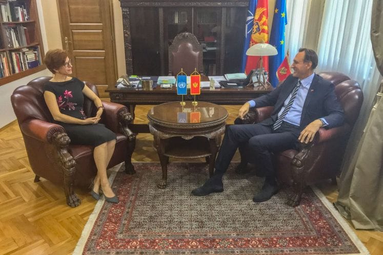 Krivokapić - Gašparikova 1