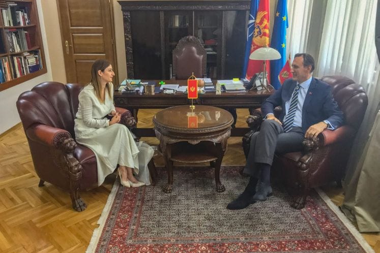 Krivokapić - Trendafilova