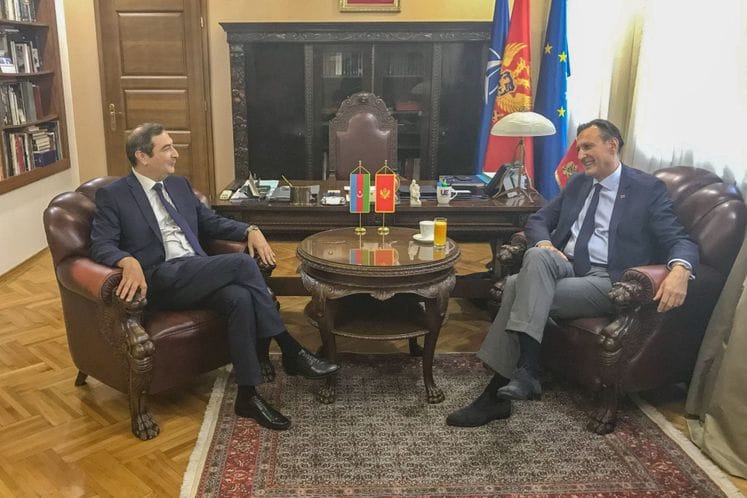 Krivokapić - Hasijev