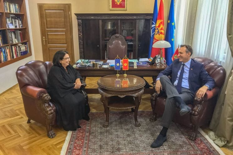 Krivokapić - Hodža