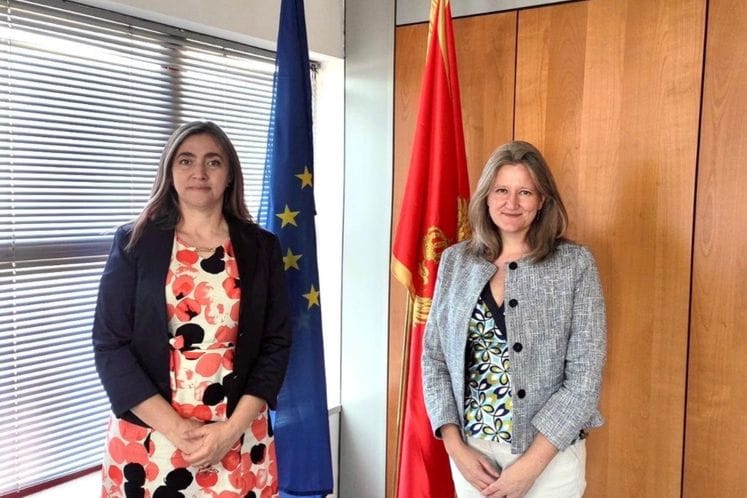 Iskoristiti ekspertska znanja i dugogodišnje iskustvo Ujedinjenog Kraljevstva koja bi mogla biti korisna u obezbjeđivanju podrške inovacijama