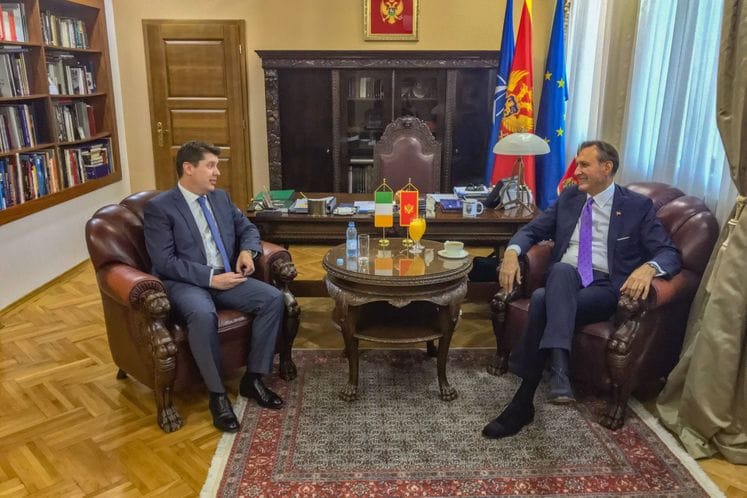 Krivokapić - Gargan