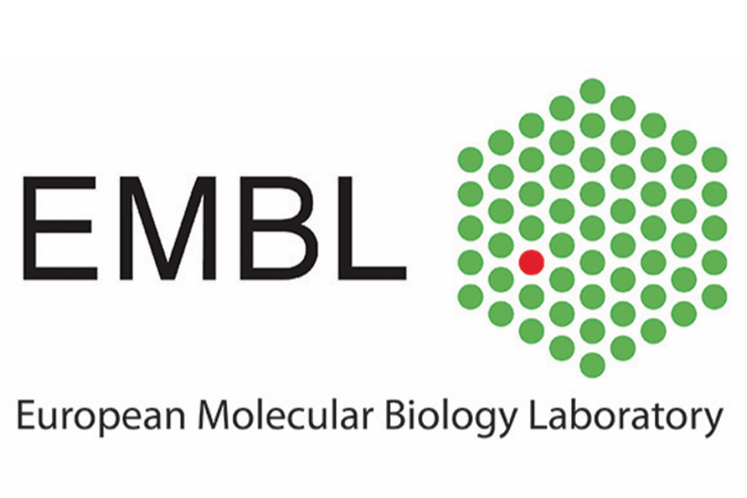 EMBL