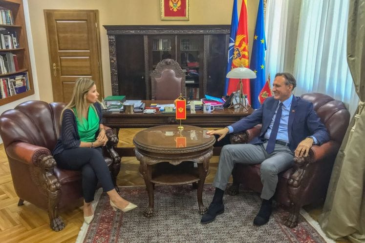 Krivokapić - Đurđević