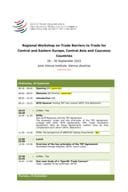 Programme - JVI Vienna Regional WorkshopTBT _CEECAC 28_30 Sept 2022 (draft 14 July 22).cleaned