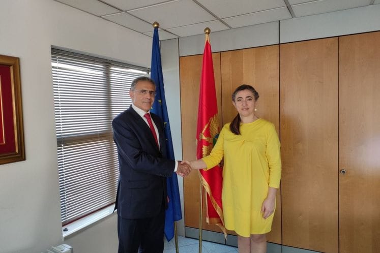 Ministarka Šćepanović sa ambasadorom Kipra Teofilaktuom