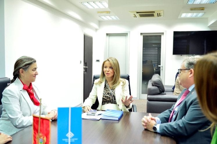 Radović-Šćepanović-Timonije: Snaženje saradnje u oblasti društvenog preduzetništva i inovacija