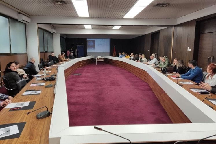 Radionica IT revizori