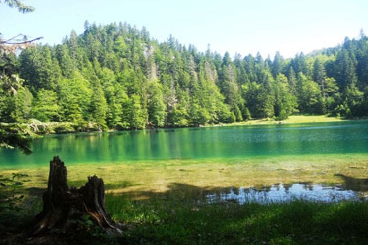 Zabojsko jezero