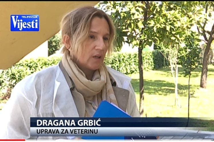 Izjava veterinarske inspektorke Dragane Grbić za TV Vijesti