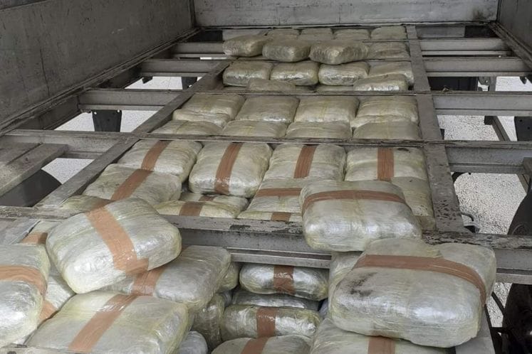 Saopštenje: Spriječeno krijumčarenje marihuane