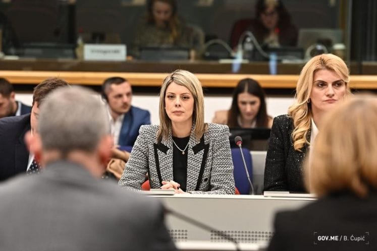 Ana Novakovic Djurovic Odbor SSP