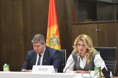 Žižić: PPCG 2023- 2024 – putokaz našeg dvogodišnjeg rada na putu ka EU