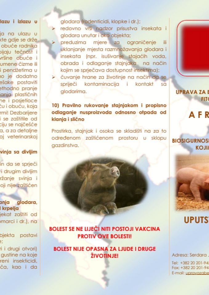 Flajer Afrička kuga svinja CG