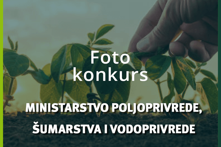 Foto konkurs na temu crnogorske poljoprivrede