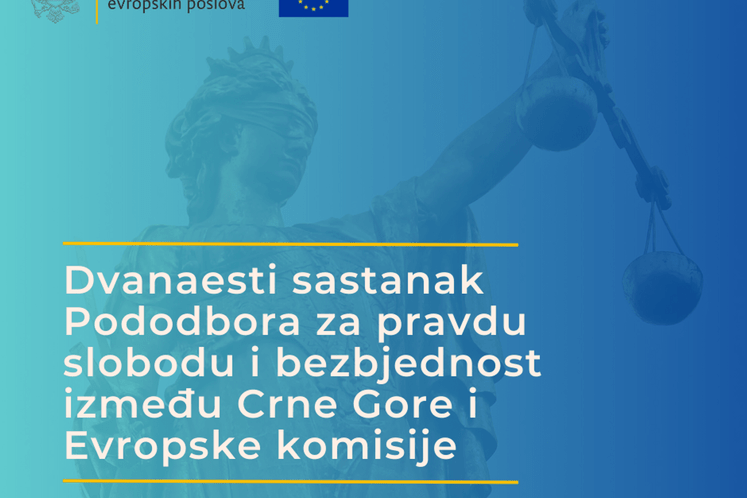 Dvanaesti sastanak Pododbora za pravdu, slobodu i bezbjednost