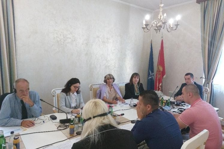 “Podrška Pompidou grupe Savjeta Evrope unapređenju znanja i vještina zaposlenih u zatvorskom sistemu Crne Gore o tretmanu zavisnosti od psihoaktivnih supstanci”