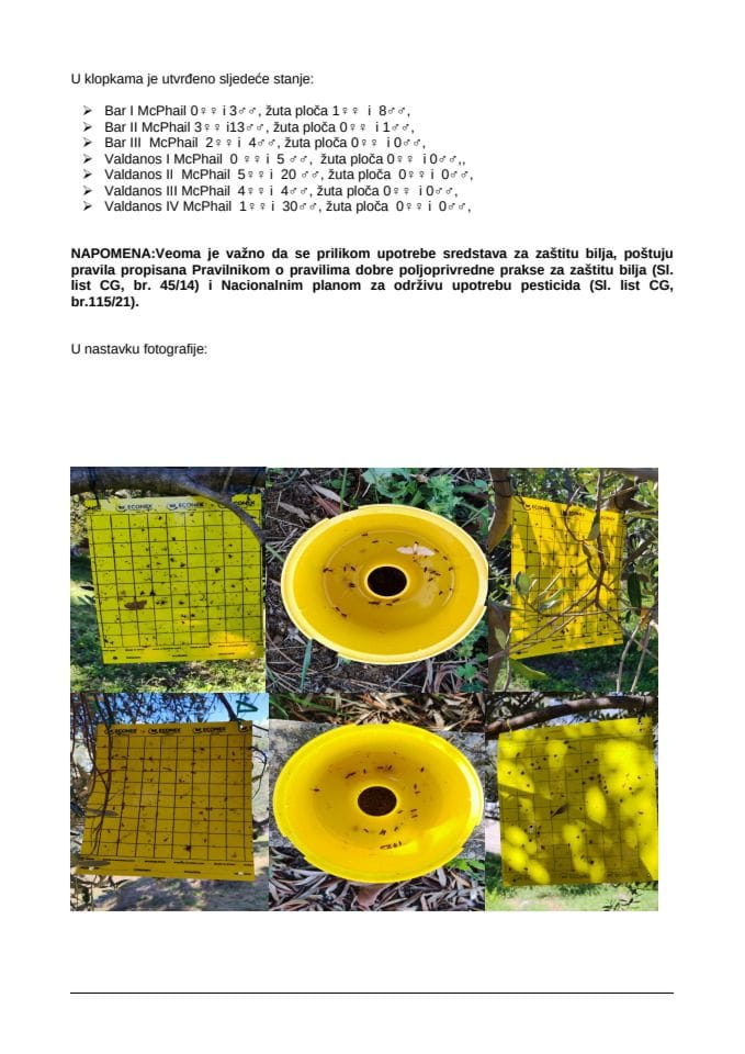третирање маслине