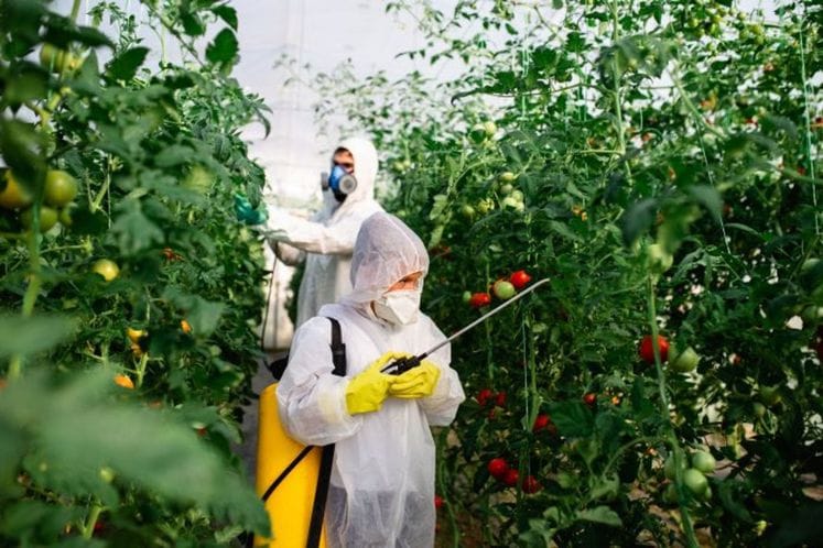 upotreba pesticida