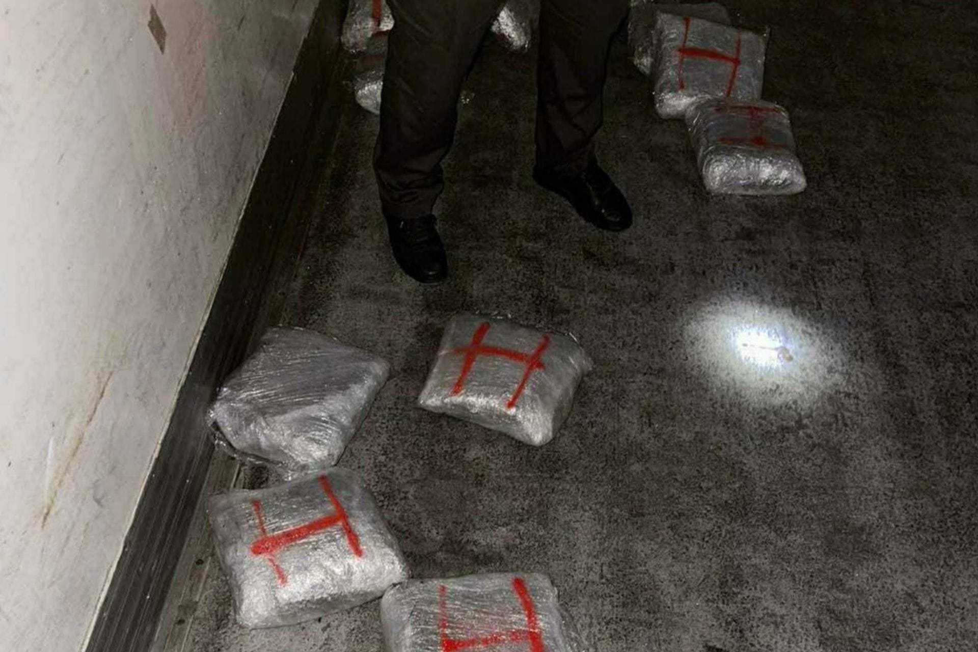 Spriječeno krijumčarenje skanka, uhapšen osumnjičeni