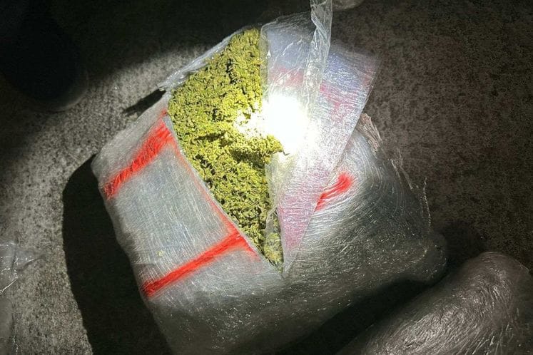 Spriječeno krijumčarenje skanka, uhapšen osumnjičeni