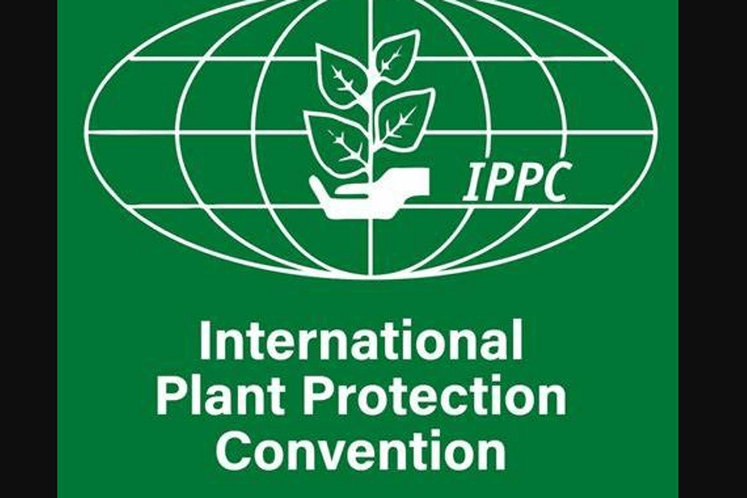 IPPC 2023