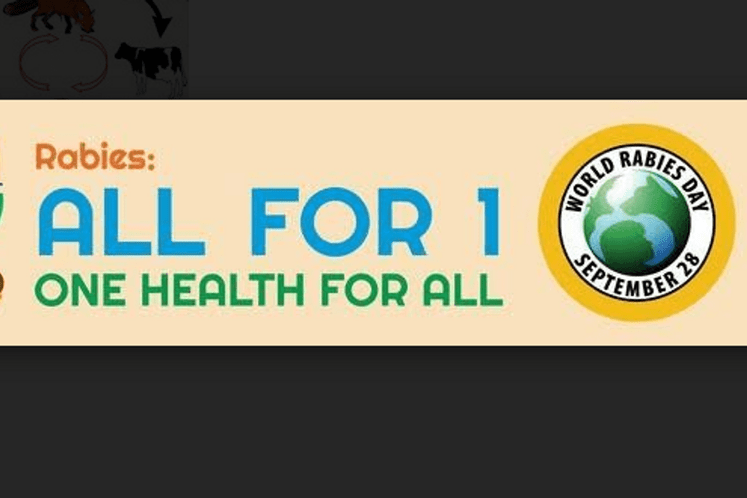 world rabies day