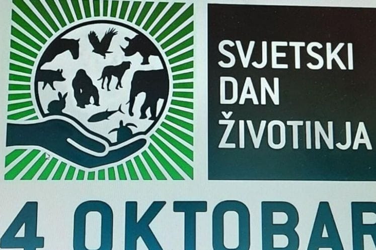 Svjetski dan zaštite životinja